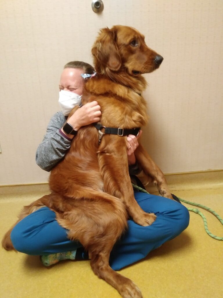 member at Beltline Animal Hospital weighing a dog