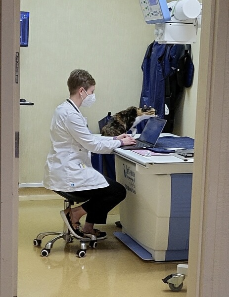 Dr. R from Beltline Animal Hospital entering files to the computer