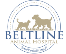 Beltline Animal Hospital